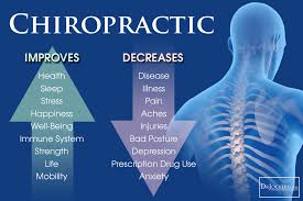 Chiropractors / Body Health