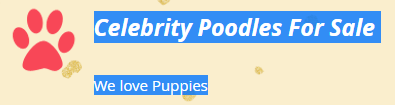 Celebrity Poodles
