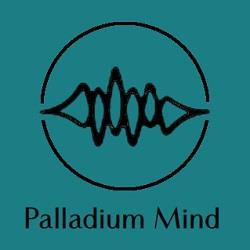 Palladium Mind Inc.