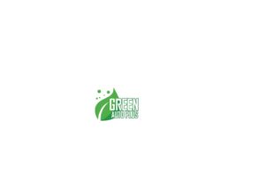 Green Auto Plus Service & Repair