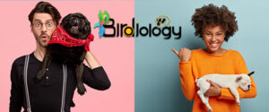 Birdiology