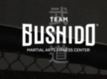 Team Bushido MMA Fitness Centre