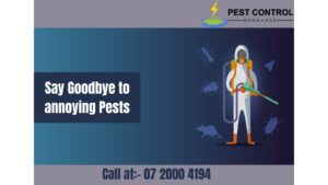Beneficial Pest Control Services in Bongaree