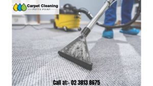 Helpful Carpet Cleaning Services in Potts Point