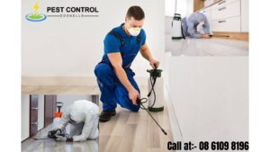 Helpful Pest Control Services in Gosnells