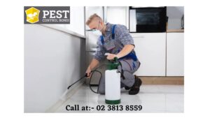 Helpful Pest Control Services in Bondi