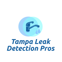 Tampa Leak Detection Pros