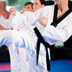 Eight Star Martial Arts, LLC/Red Dragon Karate School