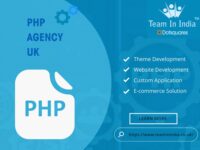 Looking For PHP Developer?