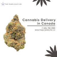 The Purple Butler | Online Cannabis Dispensary
