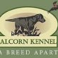 Alcorn Kennel